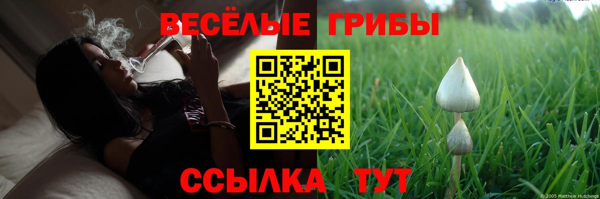 Псилоцибиновые грибы ЛСД  Вход с VPN  Менделеевск  Галлюциногенные грибы Cubensis 